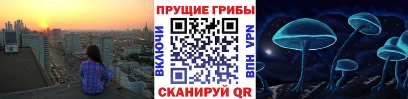 MEGA маркетплейс Барнаул Галлюциногенные грибы Cubensis где купить наркоту